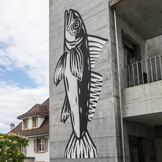 Frauenfeld Streetart Festival 2023