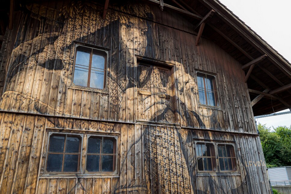 Frauenfeld Streetart Festival 2023