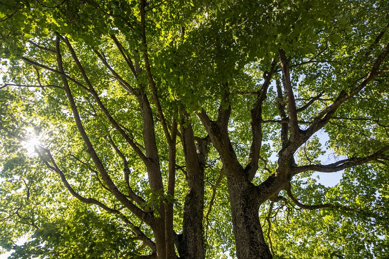 Kreuzlingen Seeburgpark
