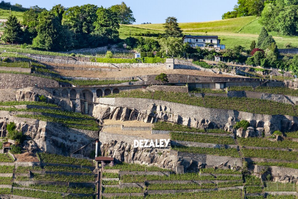 Lavaux