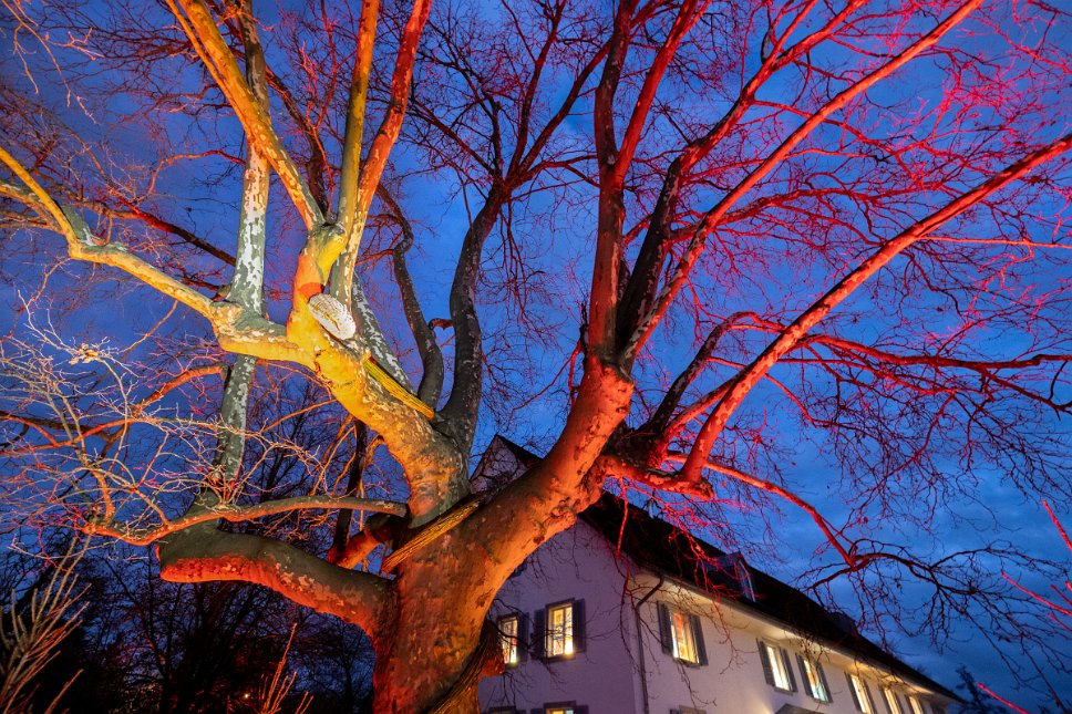 Dübendorf Weihnachtsdekoration Obere Mühle Dübendorf