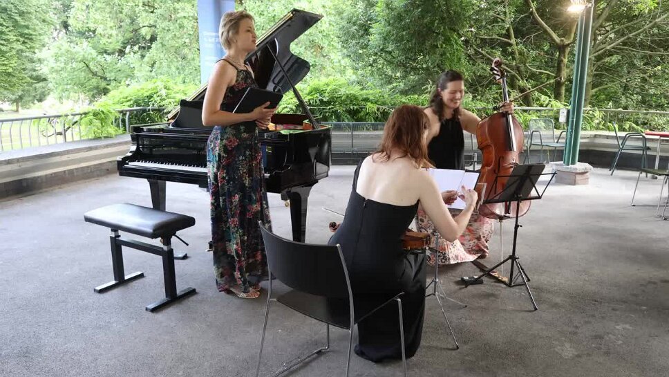 Mendelssohn Trio d-moll
